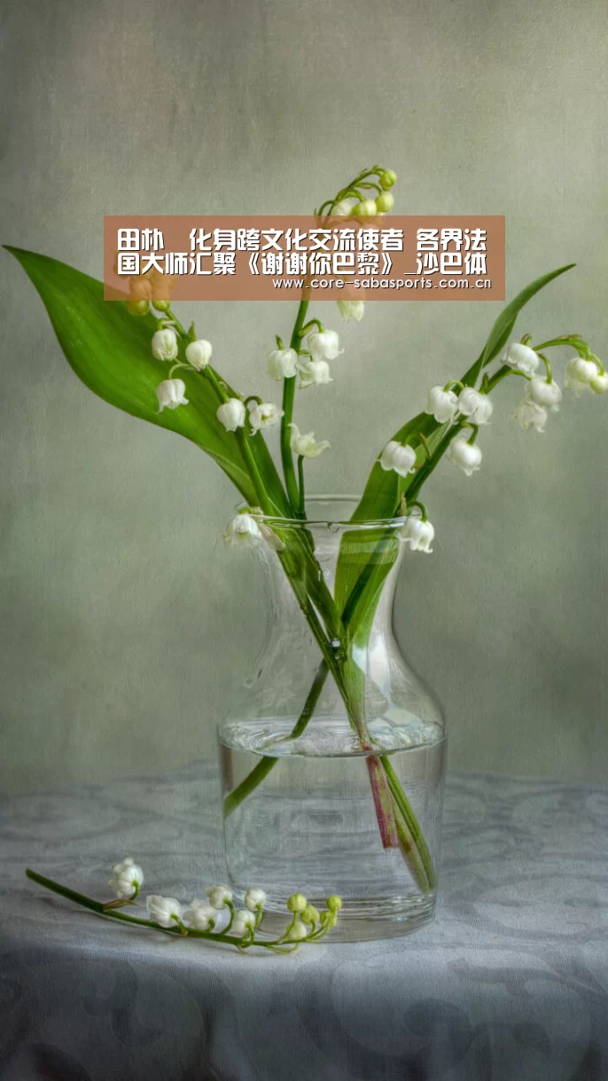 沙巴赛事