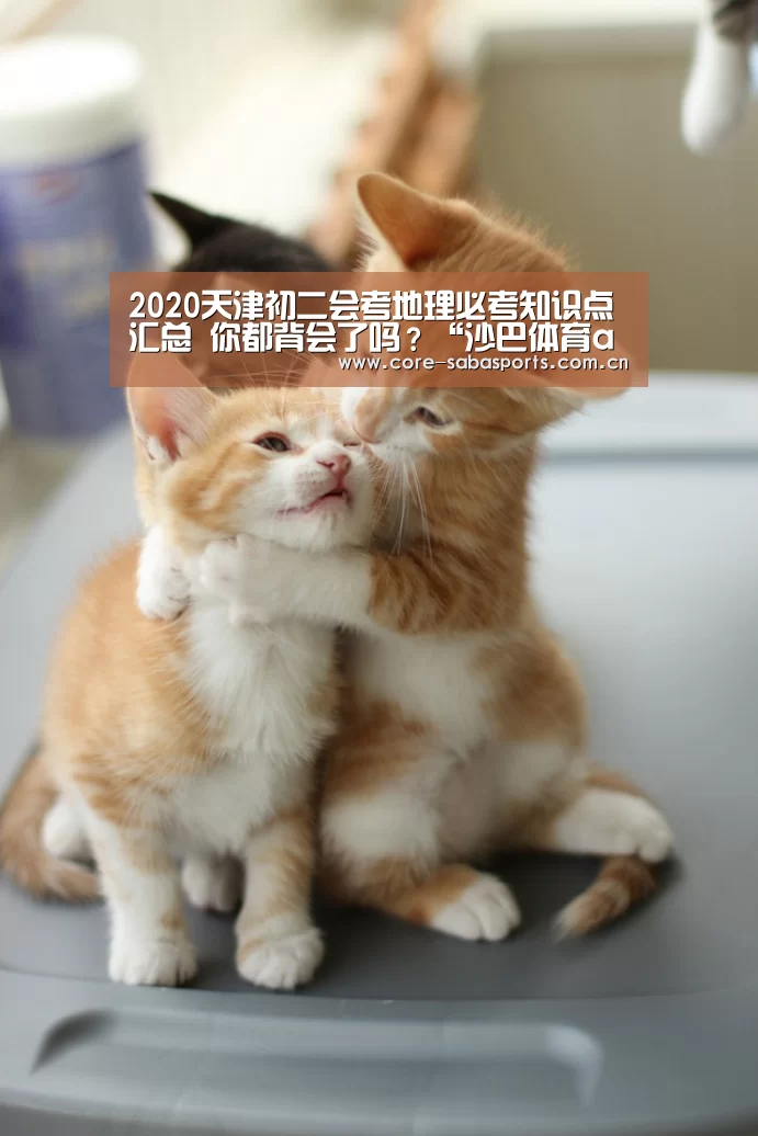 沙巴体育平台