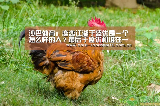 沙巴体育平台