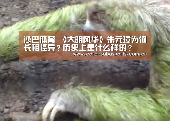 沙巴赛事